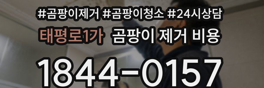 태평로1가 곰팡이 제거 비용