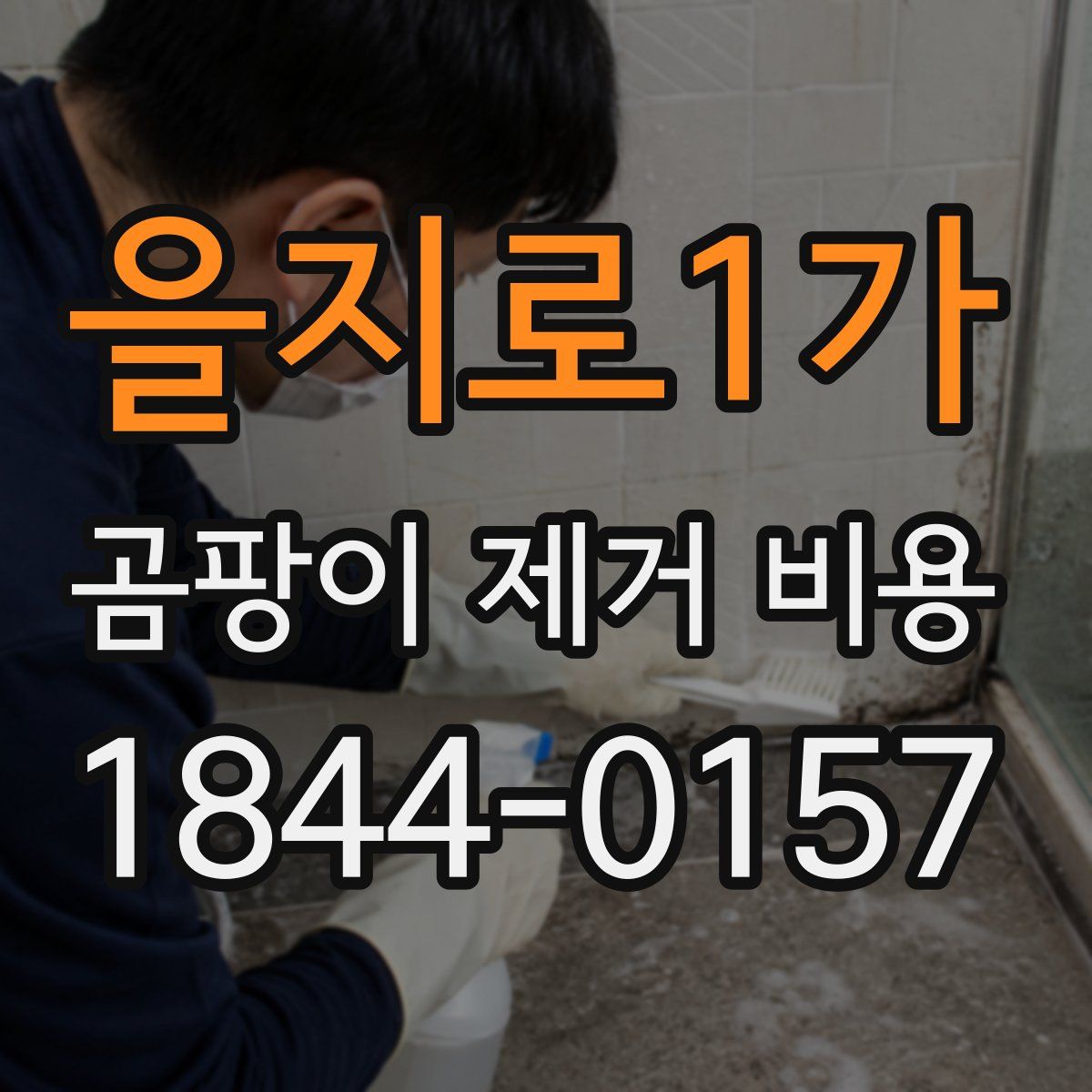 을지로1가 곰팡이 제거 비용