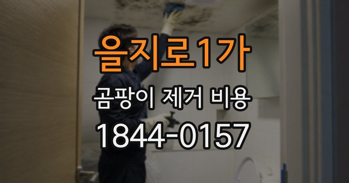 을지로1가 곰팡이 제거 비용