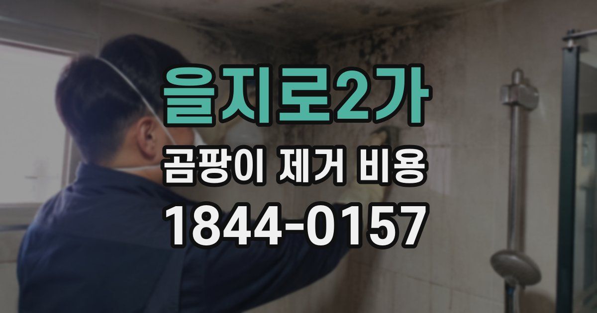 을지로2가 곰팡이 제거 비용