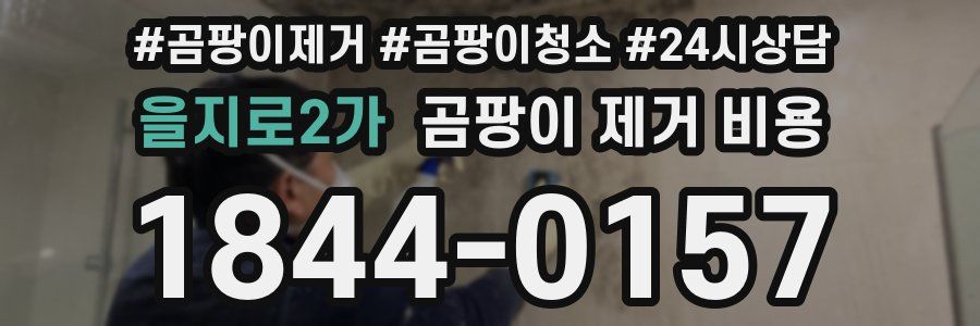 을지로2가 곰팡이 제거 비용