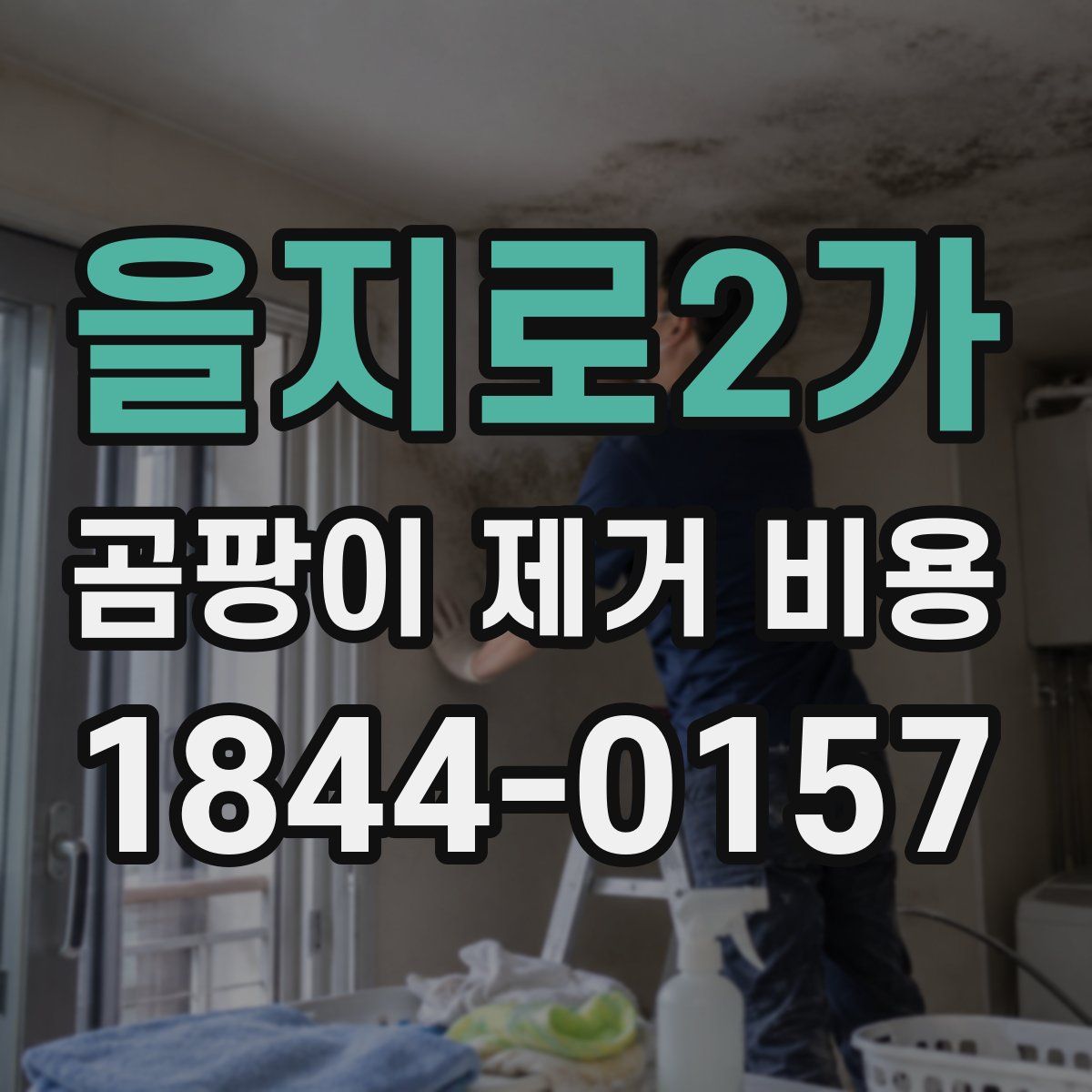 을지로2가 곰팡이 제거 비용