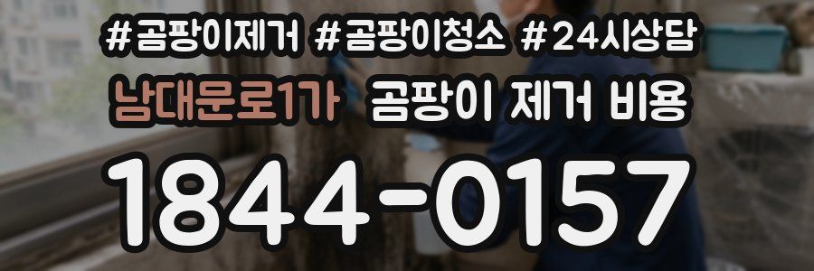 남대문로1가 곰팡이 제거 비용