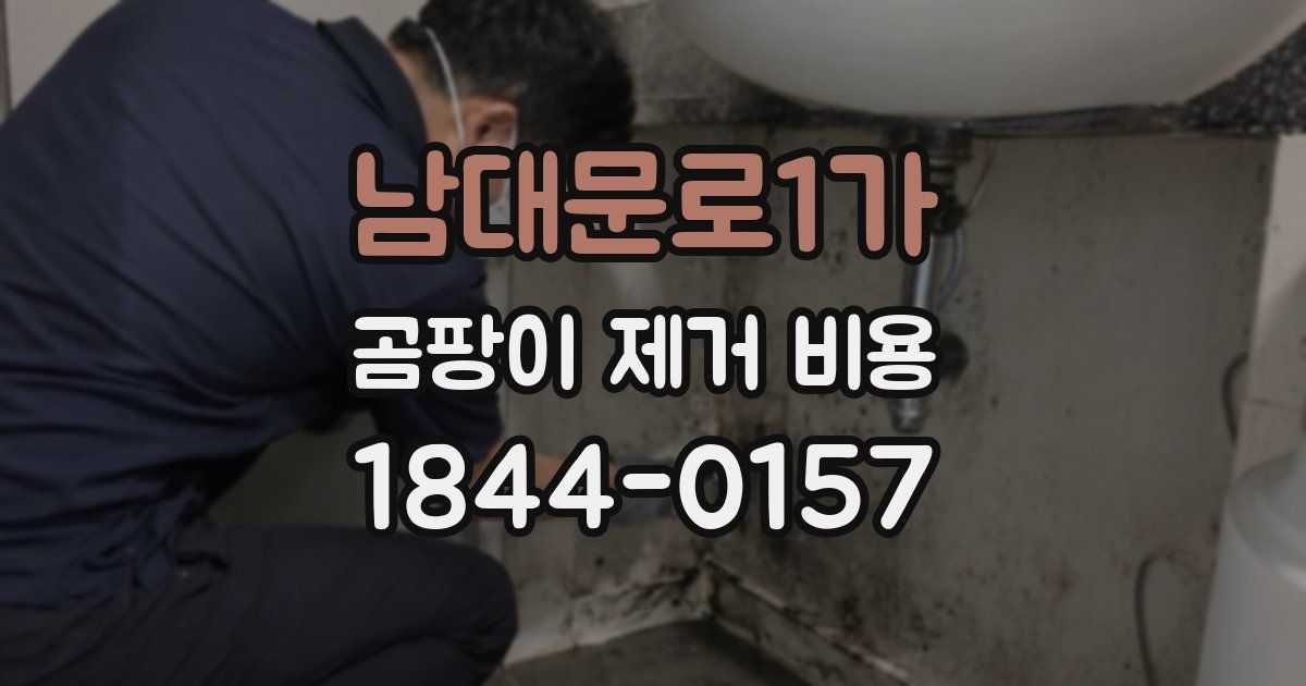 남대문로1가 곰팡이 제거 비용