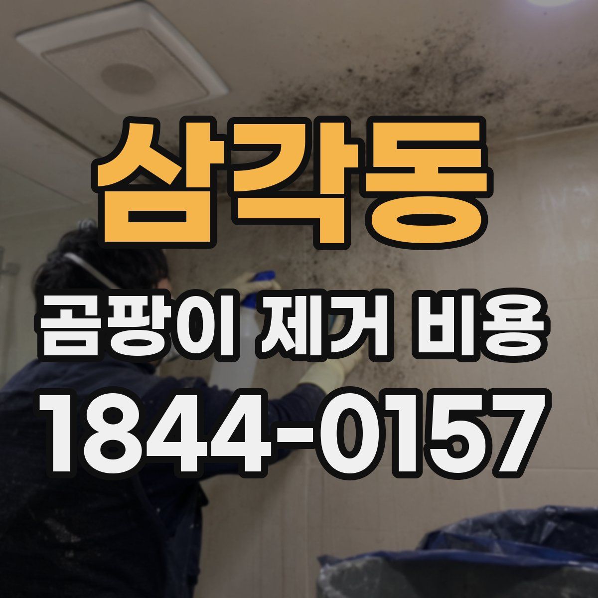 삼각동 곰팡이 제거 비용
