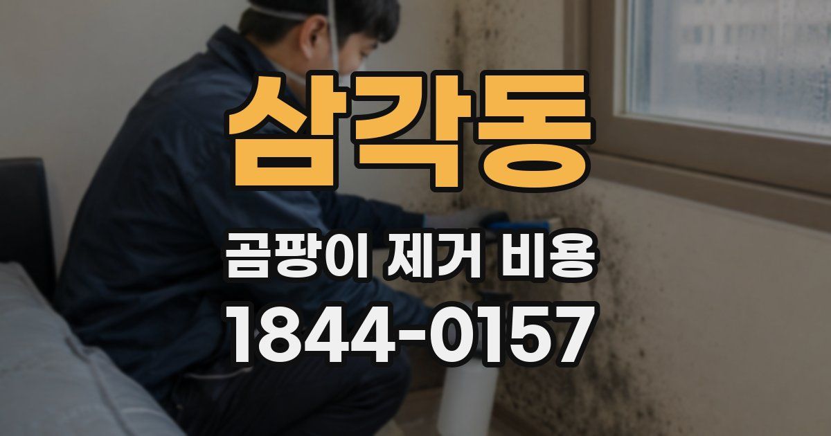 삼각동 곰팡이 제거 비용