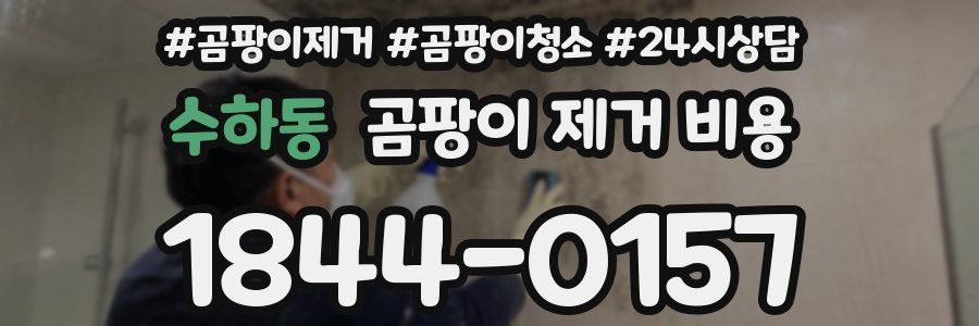 수하동 곰팡이 제거 비용