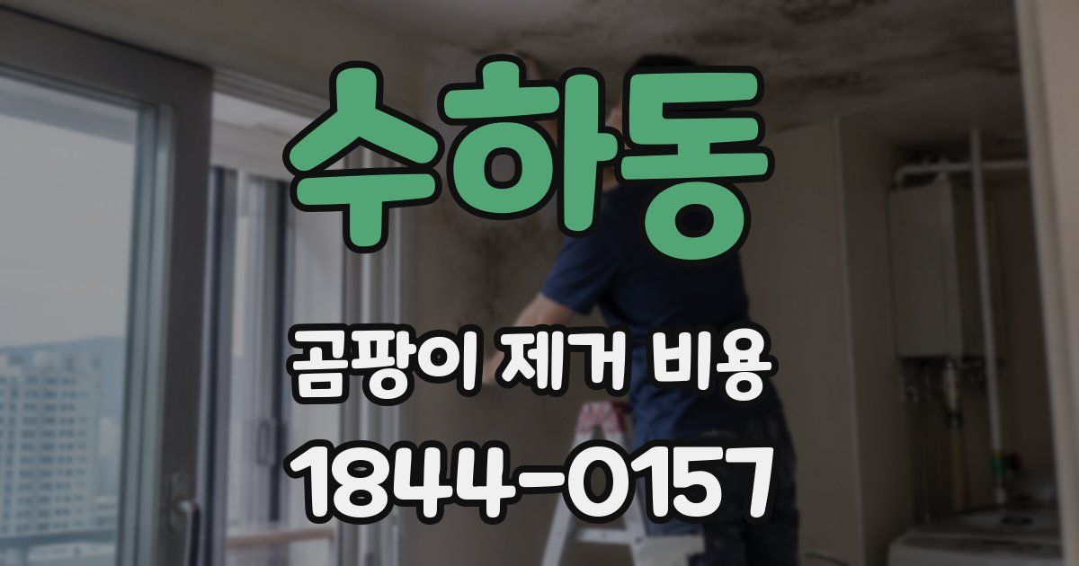 수하동 곰팡이 제거 비용