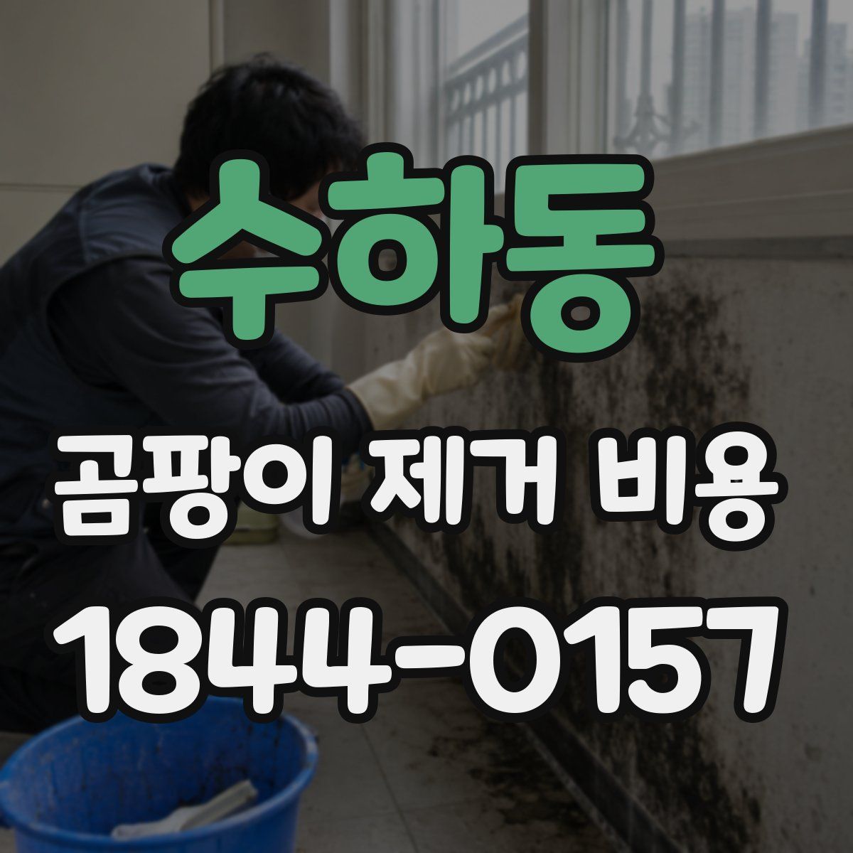 수하동 곰팡이 제거 비용