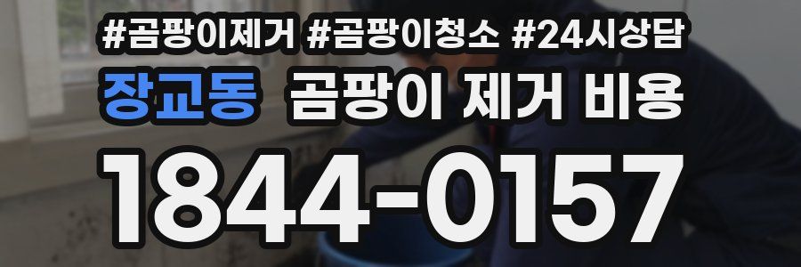 장교동 곰팡이 제거 비용