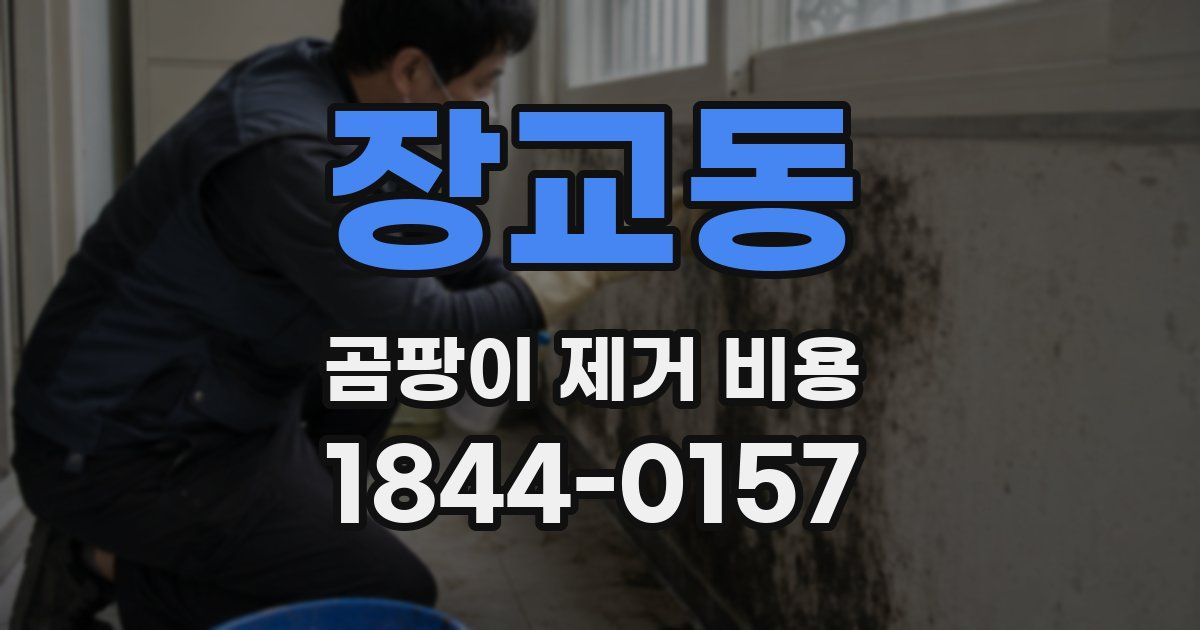 장교동 곰팡이 제거 비용