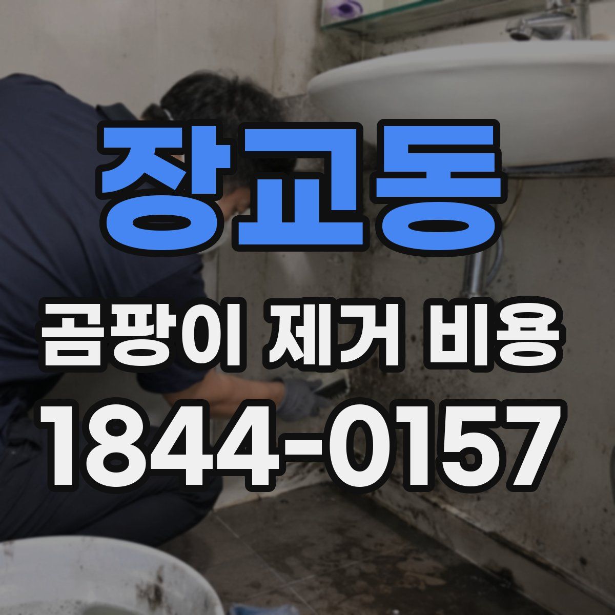 장교동 곰팡이 제거 비용