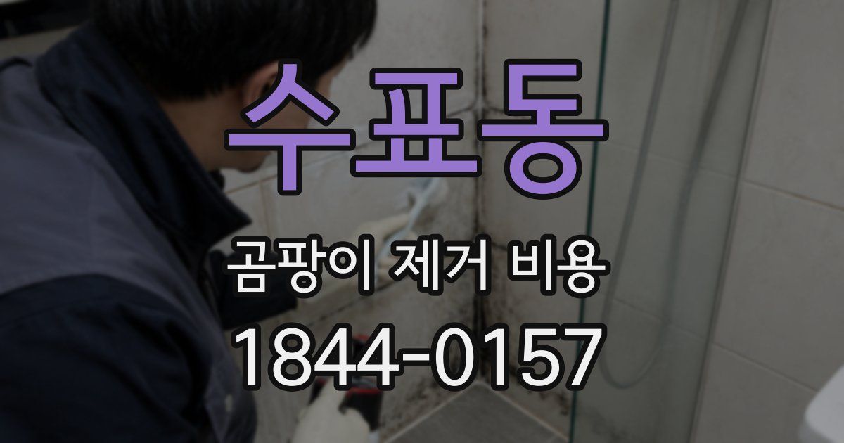 수표동 곰팡이 제거 비용