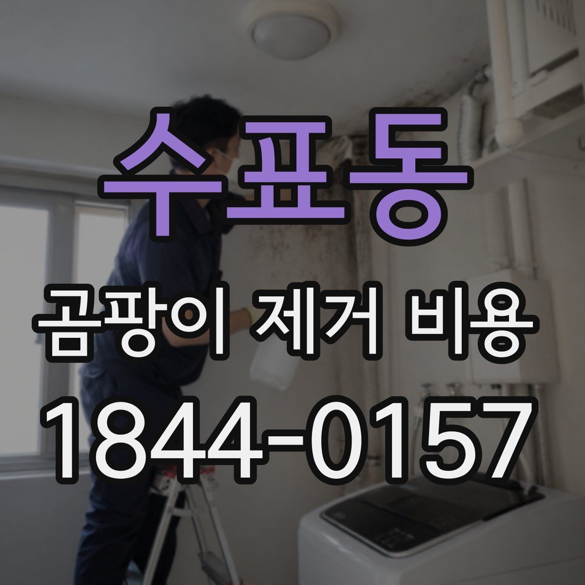 수표동 곰팡이 제거 비용