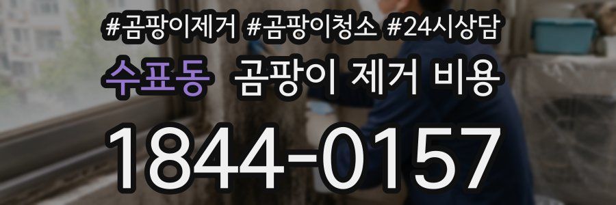 수표동 곰팡이 제거 비용