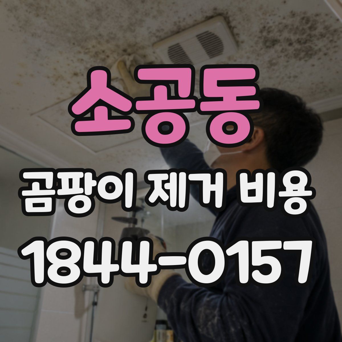 소공동 곰팡이 제거 비용