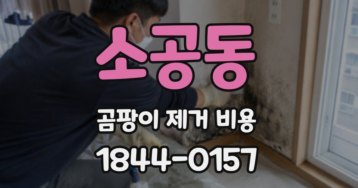 소공동 곰팡이 제거 비용