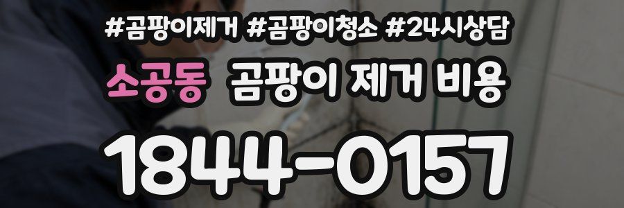 소공동 곰팡이 제거 비용