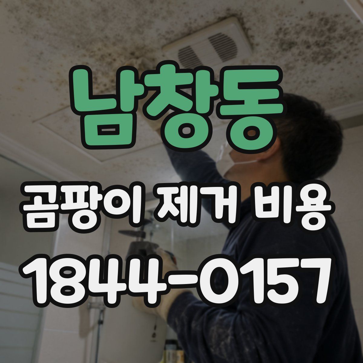 남창동 곰팡이 제거 비용