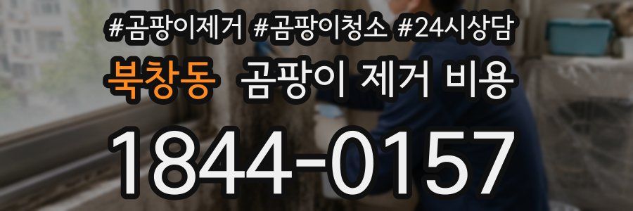 북창동 곰팡이 제거 비용