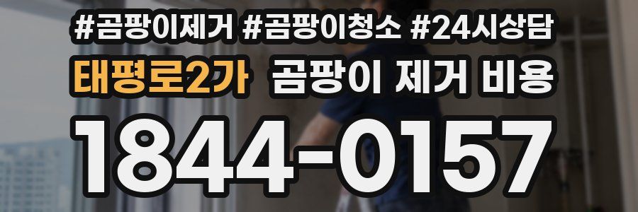 태평로2가 곰팡이 제거 비용