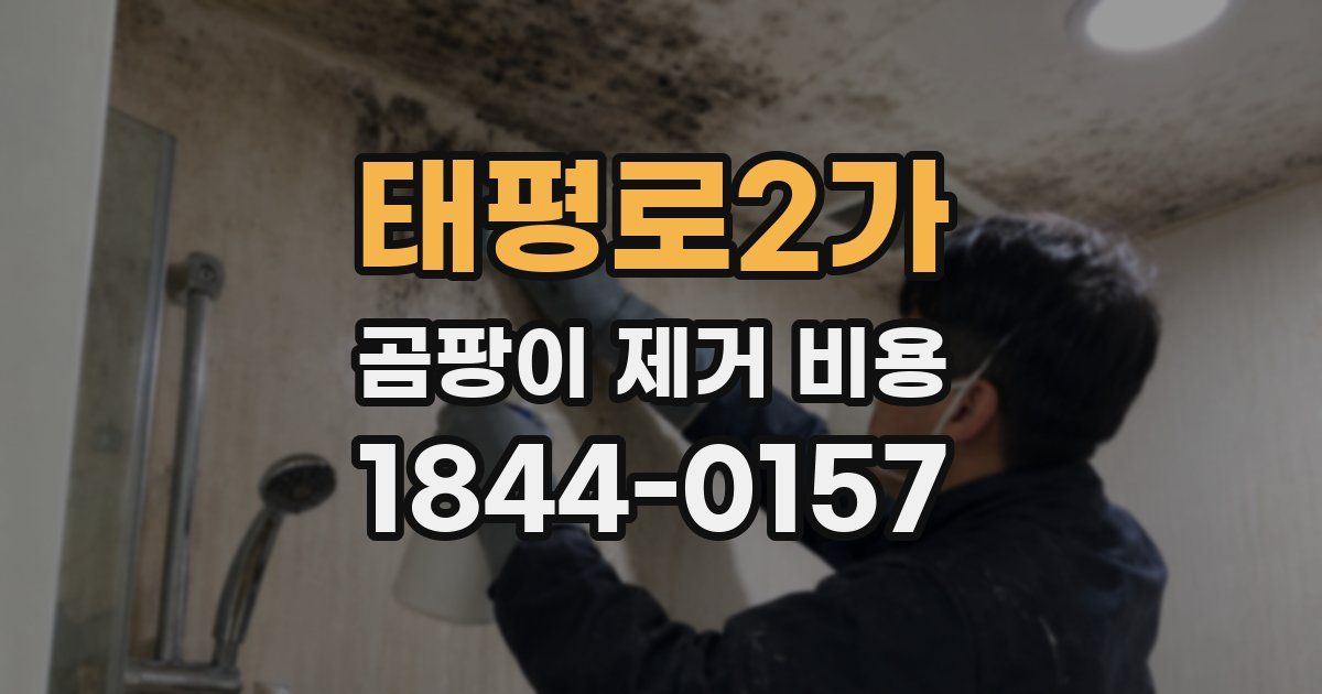 태평로2가 곰팡이 제거 비용