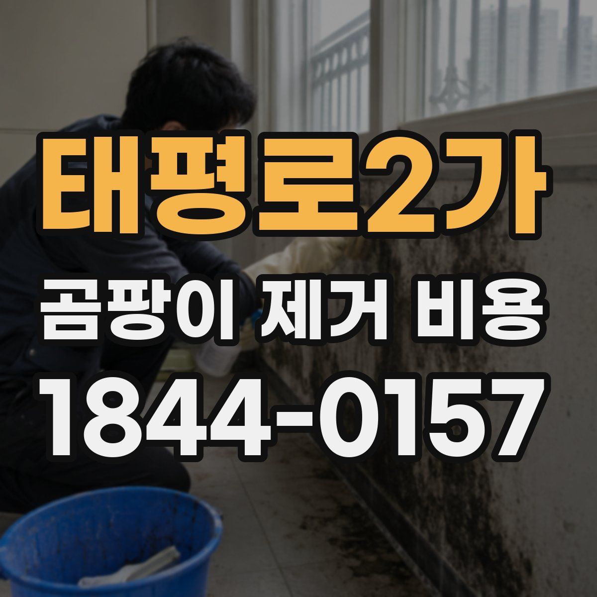 태평로2가 곰팡이 제거 비용