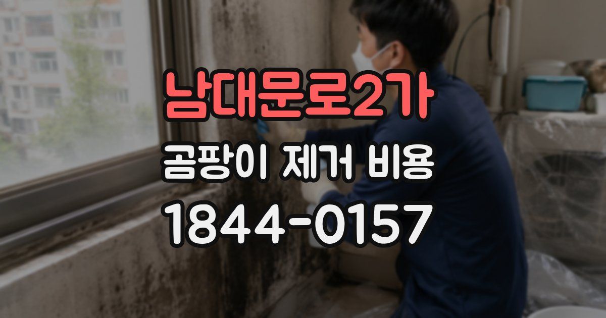남대문로2가 곰팡이 제거 비용