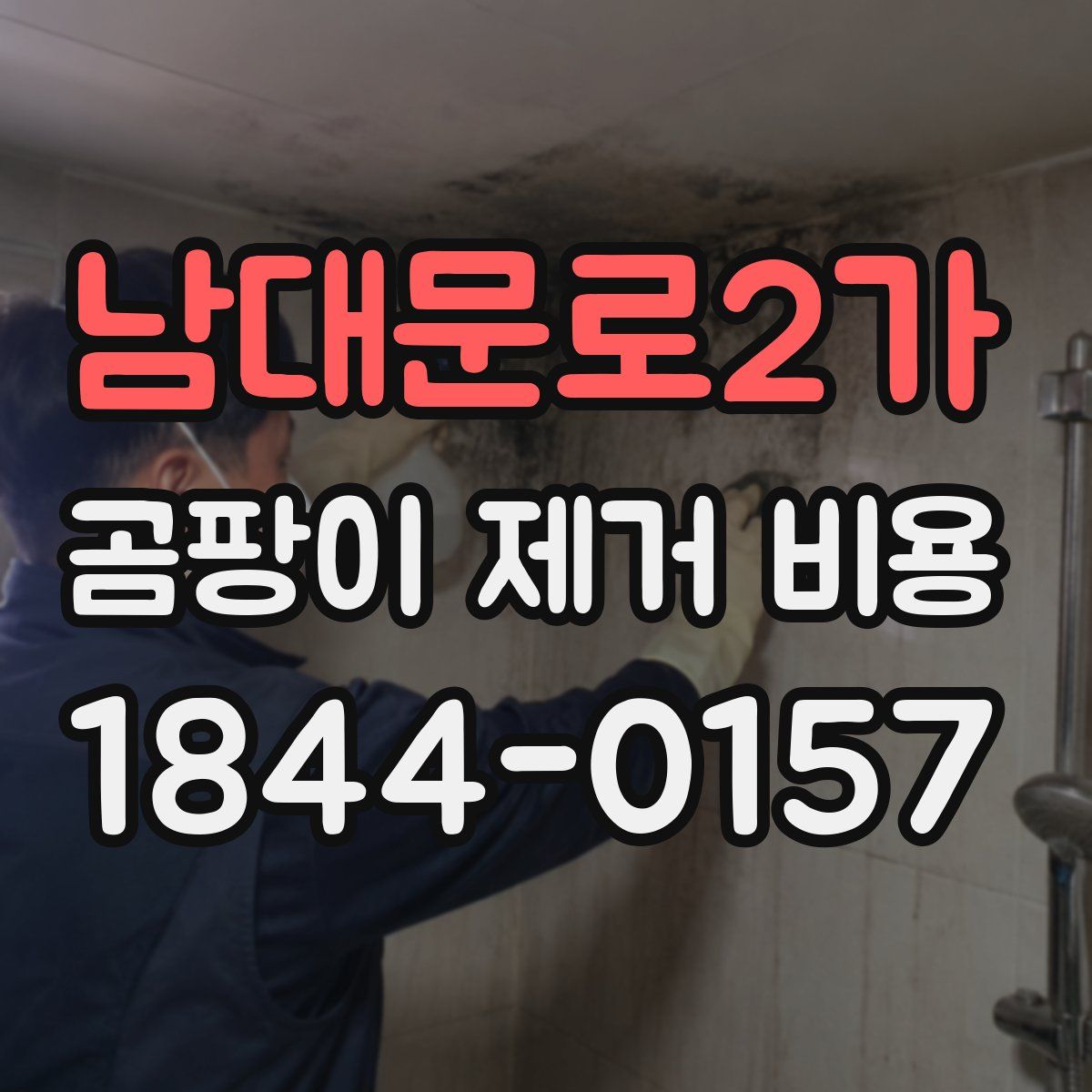 남대문로2가 곰팡이 제거 비용
