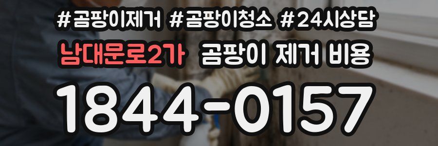 남대문로2가 곰팡이 제거 비용