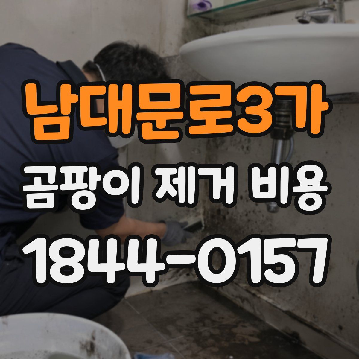 남대문로3가 곰팡이 제거 비용
