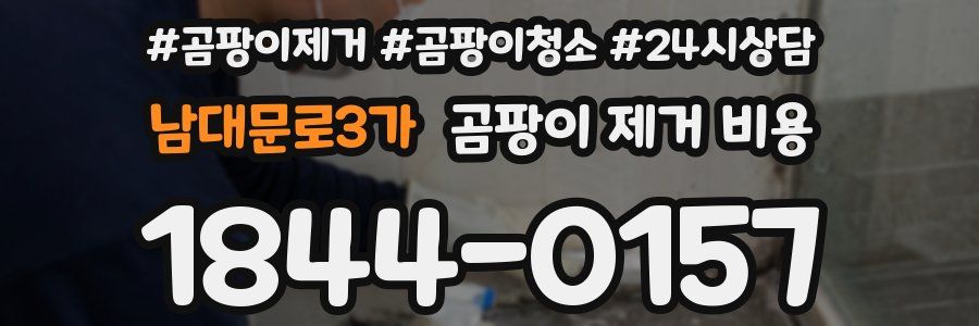 남대문로3가 곰팡이 제거 비용