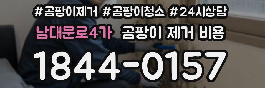 남대문로4가 곰팡이 제거 비용