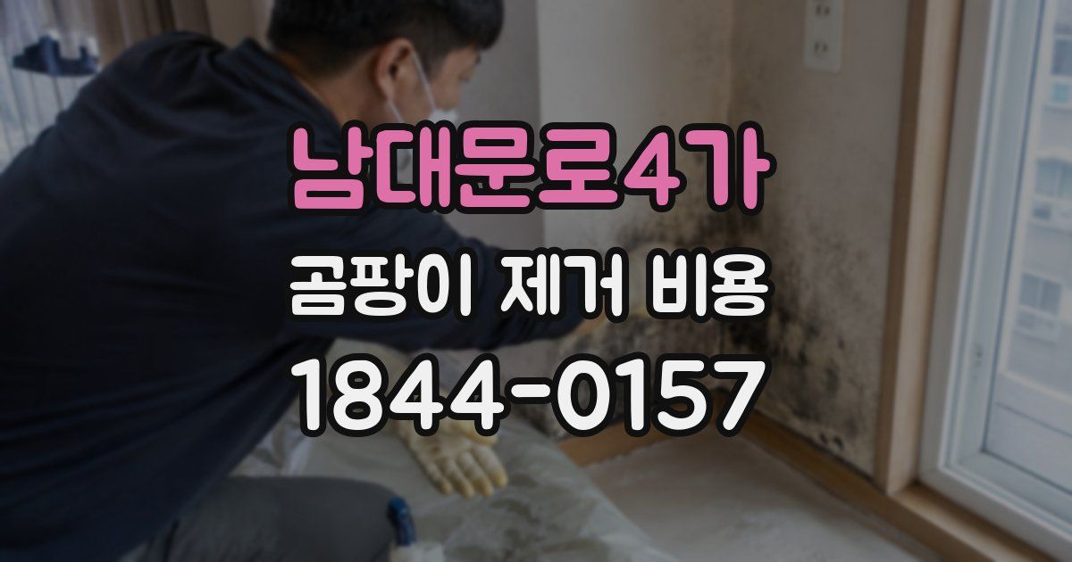 남대문로4가 곰팡이 제거 비용