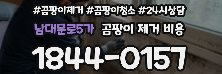 남대문로5가 곰팡이 제거 비용