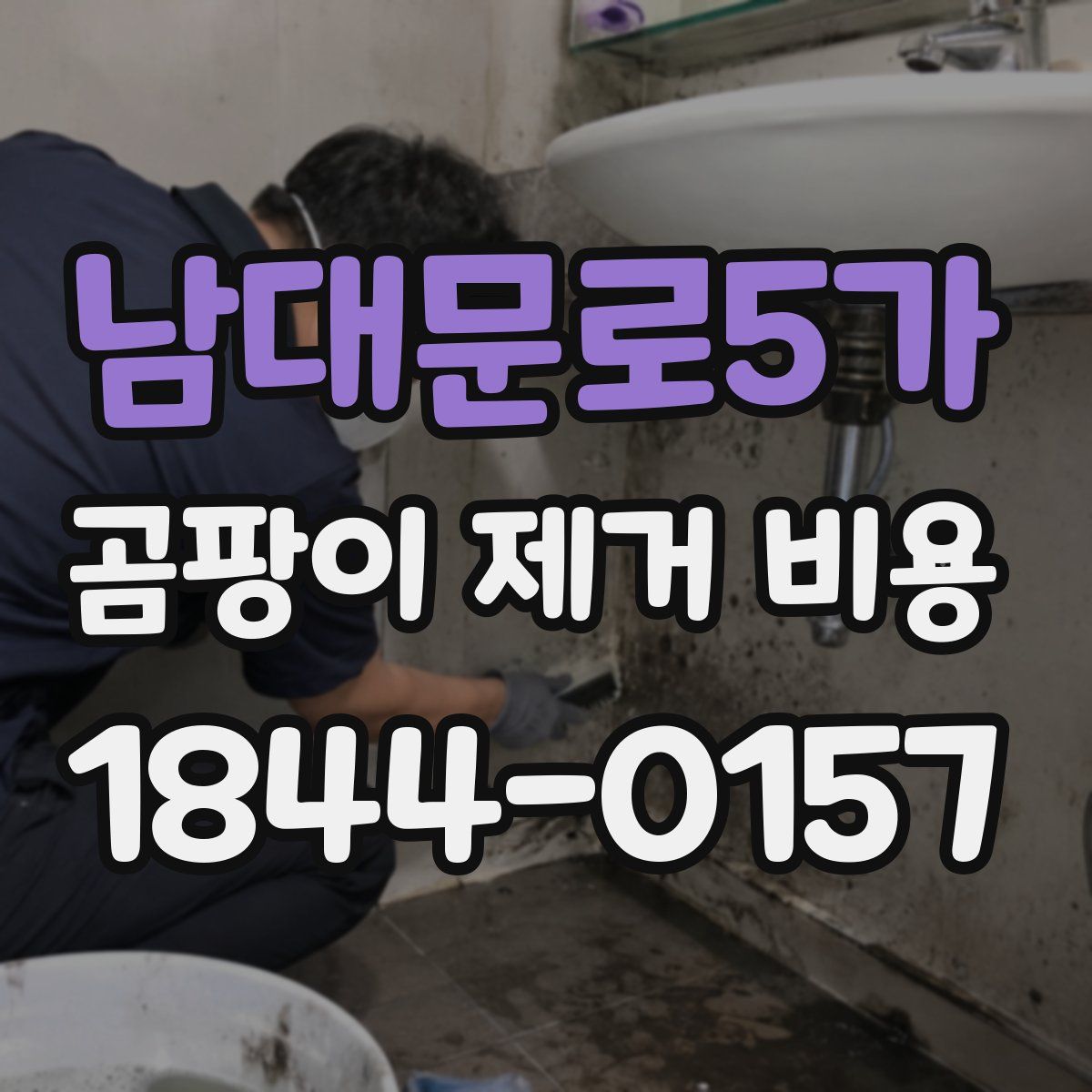 남대문로5가 곰팡이 제거 비용