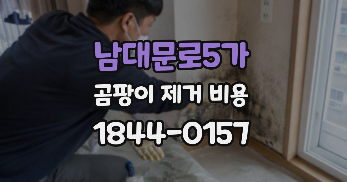 남대문로5가 곰팡이 제거 비용