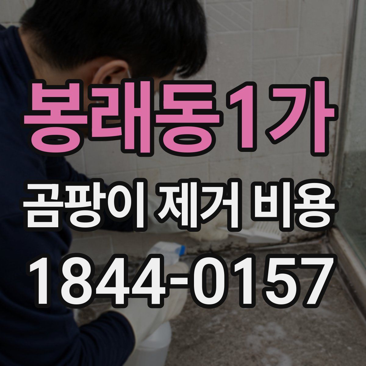 봉래동1가 곰팡이 제거 비용