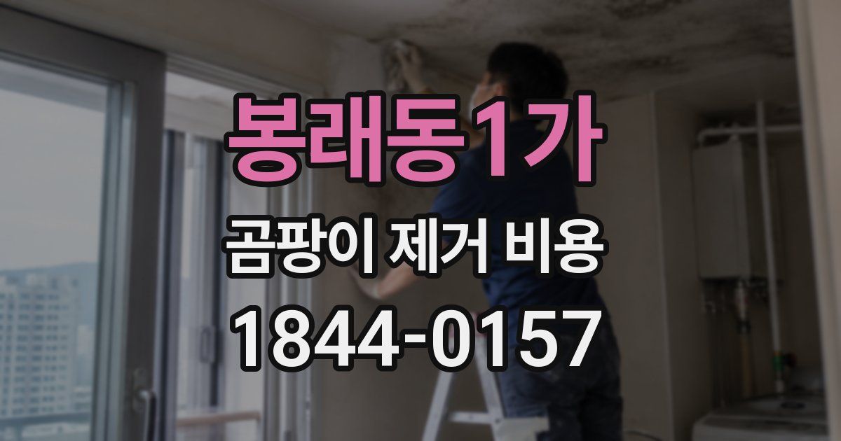 봉래동1가 곰팡이 제거 비용