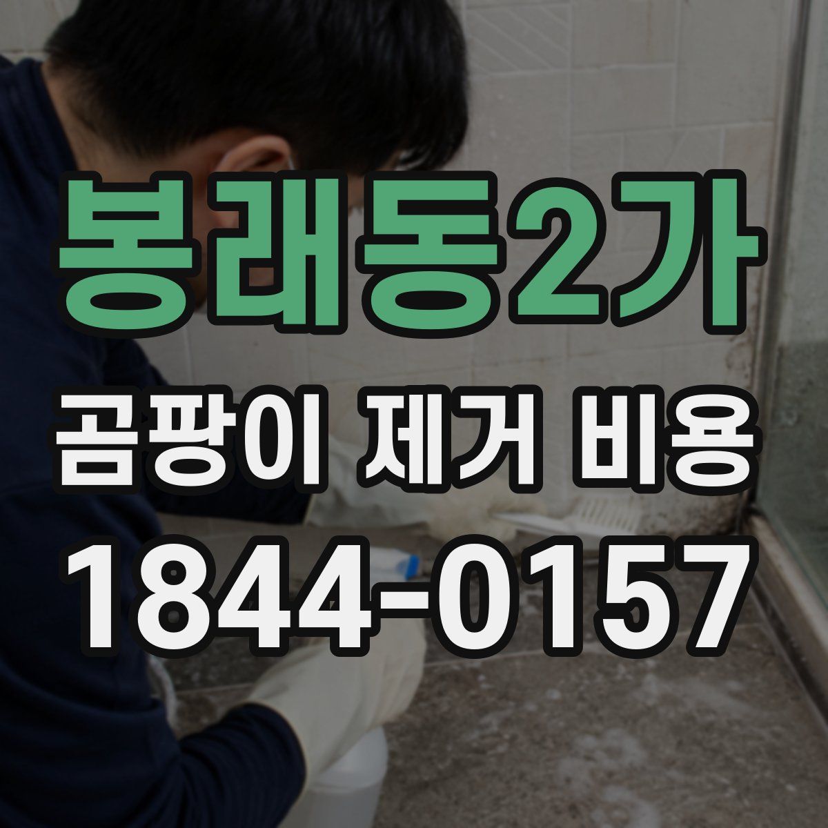봉래동2가 곰팡이 제거 비용