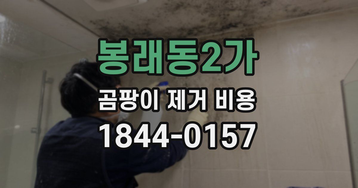 봉래동2가 곰팡이 제거 비용