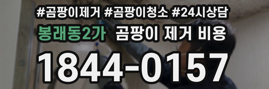 봉래동2가 곰팡이 제거 비용
