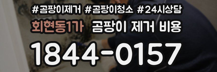 회현동1가 곰팡이 제거 비용