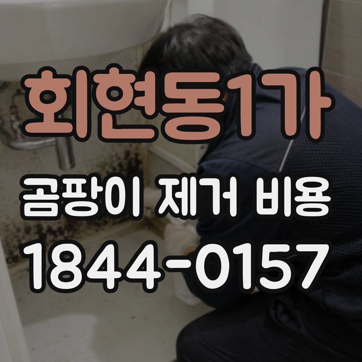 회현동1가 곰팡이 제거 비용