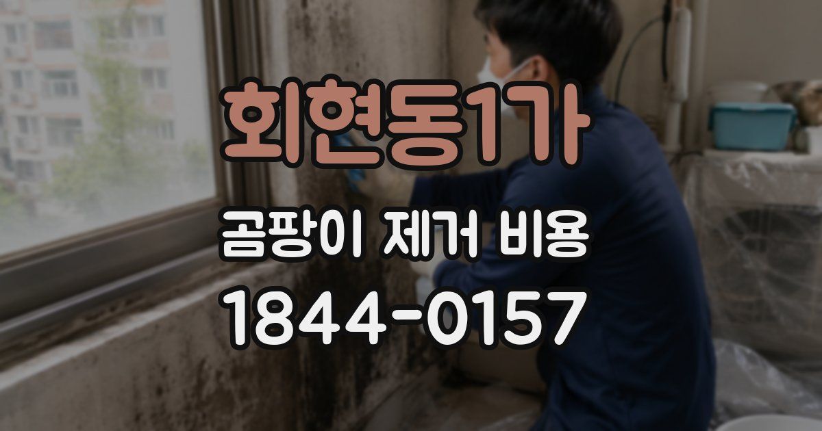 회현동1가 곰팡이 제거 비용