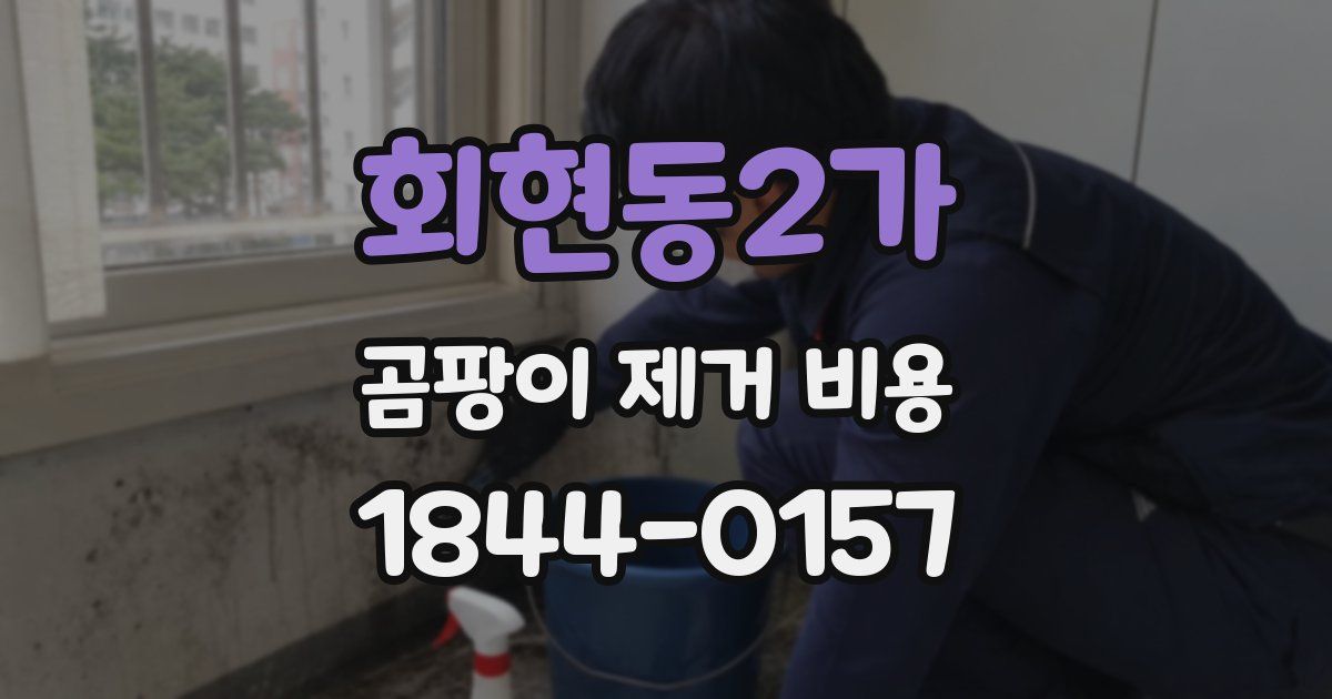회현동2가 곰팡이 제거 비용