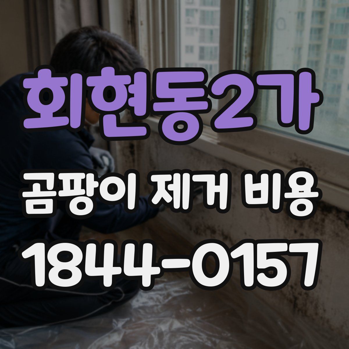 회현동2가 곰팡이 제거 비용