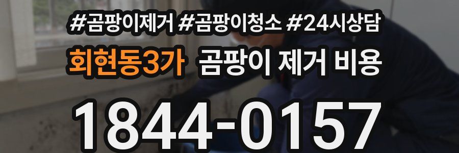 회현동3가 곰팡이 제거 비용