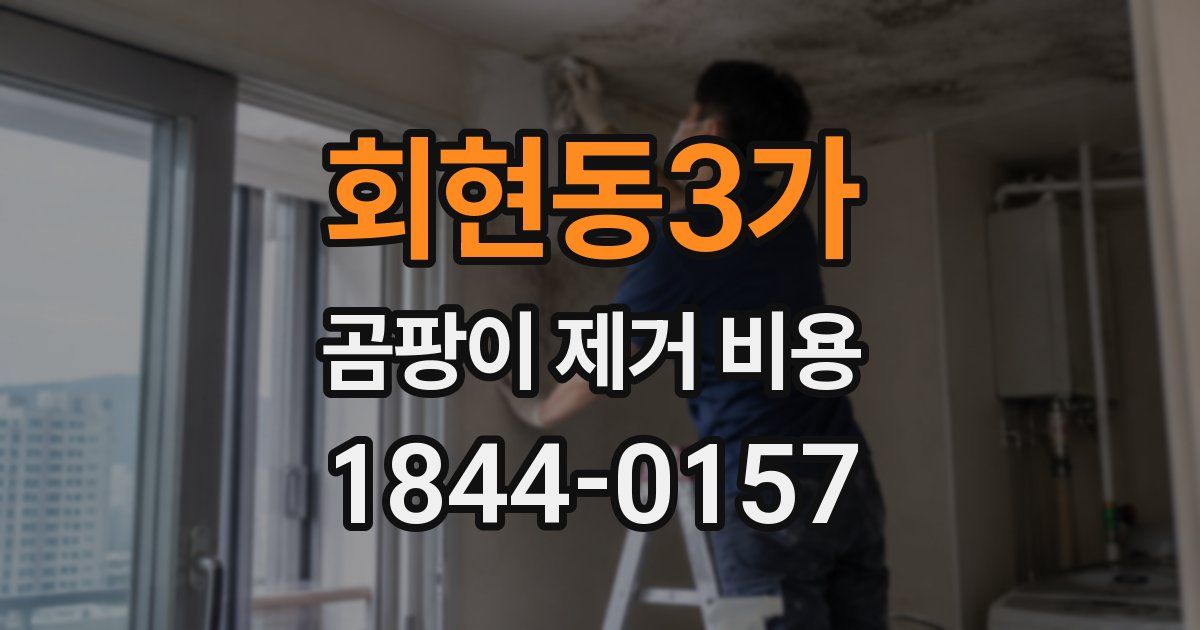 회현동3가 곰팡이 제거 비용