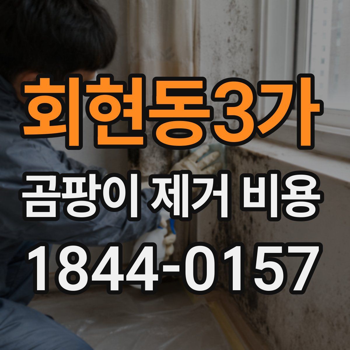 회현동3가 곰팡이 제거 비용